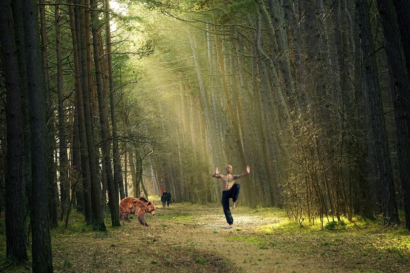 Kung Fu Image